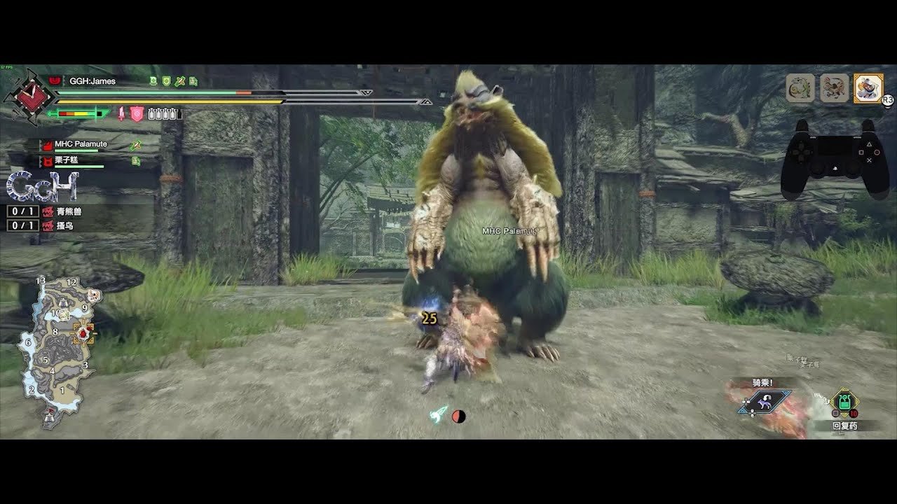 只狼：影逝二度 豪华版 截图15